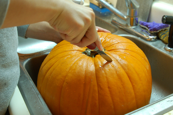 kabocha 2.JPG